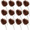 Set of 24: Natural Brown Lacquered Pine Cone Picks | 2.5" Wide | Festive Holiday Accents | Art & Crafts | Trees, Wreaths, & Garlands | Christmas Picks | Home & Office Decor - 2024 Christmas Collection, Floral Home by Artificial Flowers